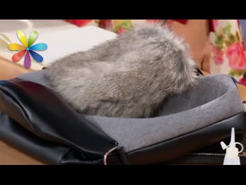 �������� �� ������� �����-����������� �� 100 ������ �� ������ ����� � ��� ���� �����. ������ 1000 �� 13.04.17