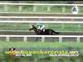 Race 7 Oct 14 2007 - HITTHEROADJACK