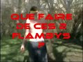 Flambytor