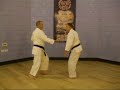 alan keegan 5th dan & shelly robbins 2nd dan. perform gekisai gi. 

this is a 2 man gi (sequence) from the goju kata gekisai dai ichi.

it is used as a training aid to improve basic blocking and striking while moving in a pre-arranged sequence.

performed at the grovehill dojo, hemel hempstead. see our website: www.goju.co.uk or www.combatconcepts.co.uk.