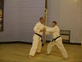 alan keegan 5th dan & shelly robbins 2nd dan. perform gekisai gi. 

this is a 2 man gi (sequence) from the goju kata gekisai dai ichi.

it is used as a training aid to improve basic blocking and striking while moving in a pre-arranged sequence.

performed at the grovehill dojo, hemel hempstead. see our website: www.goju.co.uk or www.combatconcepts.co.uk.