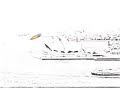 Auto Draw 2: Sydney
