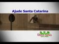 videos de VT 01 web.wmv