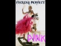 Videoclip Pink Fuckin Perfect