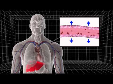 how to isolate endothelial cells