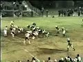 reggie-bush.html