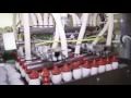  JS West Family Story - Good Egg Project - Webisode 1