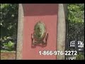 El SalvadorAhuachapanApanecaAtiquizayaConcepcion de AtacoEl RefugioGuaymangoJututlaSan Francisco MenendezSan LorenzoSan Pedro PuxtlaTacubaTurÃ­ncandelaria La FronteraChalchuapaCoatepequeEl CongoEl PorvenirMasahuatMetapÃ¡nSan Antonio PajonalSan SebastiÃ¡n SalitrilloSanta AnaSanta Rosa GuachipilÃ­nSantiago de la Fronteratexistepequeel salvador, el salvador flag,  el salvador culture, food of el salvador, el salvador historyel salvador map, el salvador track jacket, map of el salvador, el salvador recipes, el salvador food, roman catholic religion in el salvador, adidas el salvador jacket, el salvador countryflag of el salvador, el salvador civil war, el salvador sports, el salvador tourism, physical map of el salvador, history of el salvador, dessert recipes from el salvador, el salvador holidaysperiodicos el salvador, el salvador music, adidas el salvador track jacket, famous people from el salvador, el salvador money, el salvador pictures, el salvador adoption, el salvador clothingel salvador desserts, el salvador picture food, wildlife in el salvador, capital of el salvador, el imposible national park in san salvador, el salvador, el salvador president,  population of el salvador, education of el salvador, el salvador jump wings, el salvador soccer, apaneca el salvador, el salvador flags, la mara salvatrucha en el salvador, pictures of el salvadoradidas el salvador jacket new, custom requirements for shipments to el salvadorel salvador foods, el salvador jobs, el salvador traditions, gangs in el salvador, the independence day of el salvador, who is a famous person from el salvador, climate el salvador , el salvador futbol, el salvador infant jersey, el salvador news, el salvador picturefacts on el salvador, civil war in el salvador, el salvador consulate in san francisco, cael salvador population, famous people born in el salvador, history on izalco el salvadorathlete el salvador, culture of el salvador, el salvador clothes, exports of el salvadormanantial de la montana in el salvador, casas en el salvador, costa del sol el salvadorcustoms of el salvador, el salvador celebrations, el salvador customs, el salvador embassyel salvador pics, el salvador post-civil war, el salvador poverty, famous people of el salvadorfoods of el salvador, health care in el salvador, san salvador, el salvador, teatro nacional de el salvador, white el salvador soccer jersey, country of el salvador, el salvador animals, el salvador beaches, el salvador border name, el salvador current events, el salvador famous places, el salvador festive dress, el salvador national flag, el salvador people