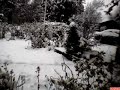 Webcam capture outside my window Webcam capture outside my window
