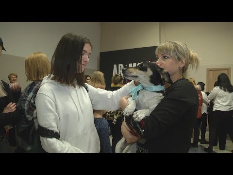 У Гомелі знайшлі новых гаспадароў для бяздомных жывёл видео