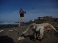 Slinging for sea beasts off coast of Dakar Senegal ...