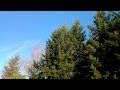LG Spectrum from Verizon Video Sample