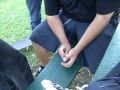 KRYPTICS[TM]:PULL IT!noTWIST IT!