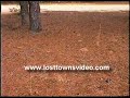Ironmaking in the Pine Barrens Part One Ironmaking in the Pine Barrens Part One