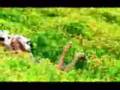 Lada Dance - Odin lish raz (remix)
