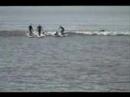 Severn Bore: Riding the tide