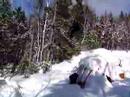snowscoot