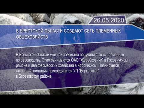 Новостная лента Телеканала Интекс 26.05.20.