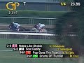 Nobiz Like Shobiz - 2007 Holy Bull Stakes