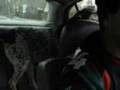 Boudreaux Rides and Sings