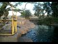 videos de tsn peine6