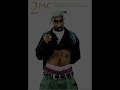 2pac   remix   mega remix 2   thug in peace! 2