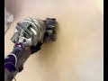 Dyson DC14 allergy
