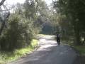roam at home