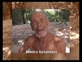 Sons do Cerrado - Marimbondo Amarelo