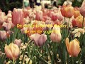 Elly en Rikkert - Weet je dat de lente komt