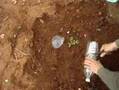 Goteo solar drip irrigation