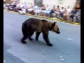 Moros i Cristians Verger 2007. L\