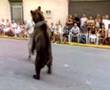 Moros i Cristians Verger 2007. L'ós.