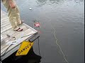 SONIA AUV homes in on an acoustic beacon