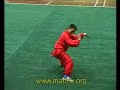 Bagua zhang competition form