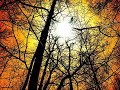 The Blizzard - Kalopsia (Mark Otten Energetic Mix) [HQ]