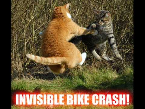 I Can Has Cheezburger - All of ICHCB (homepage) Vol 4.