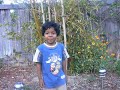 Paalum Thenum