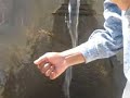 Amazing hydraulic prowess of the Incas in Ollantaytambo
