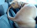 Jenns pictures 002.mpg