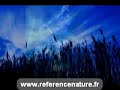 Assainissement Autonome Assainissement Autonome