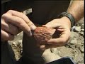 Stockton Heath Excavations Part 3