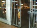 Lluvias en Piura (Miraflores Castilla)