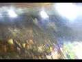 videos de roma lazio 1 0 curva sud formazioni