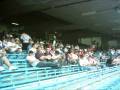 videos de Tricolores Riopardenses torcida de São José do Rio Pardo 3º Caravana