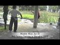 videos de Lung-Hsing Bagua Zhang,5