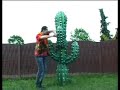 Dj maarten - cactus