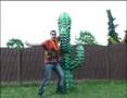 Dj maarten - cactus