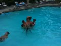 videos de Pool time