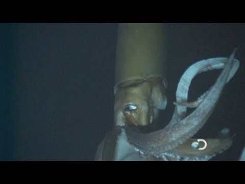 YouTube Preview Image